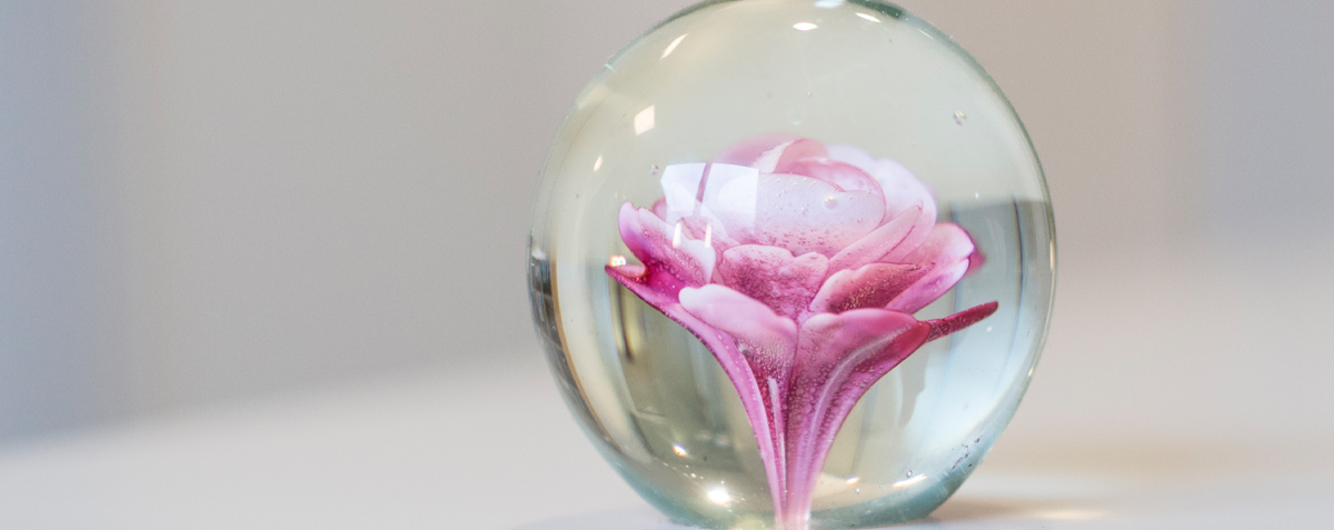 Eine Glasvase, geschmückt mit einer leuchtend rosa Blume.